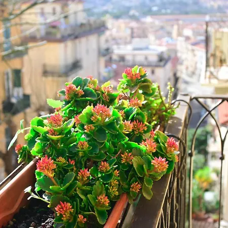 La Maison Au 35 *